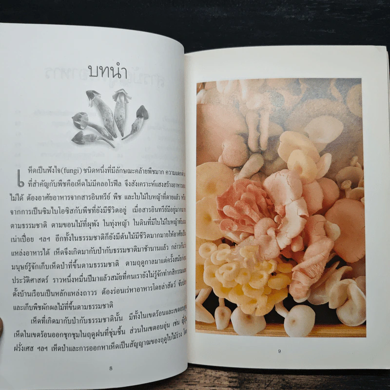 เห็ด ตำรับอาหารเพื่อสุขภาพ รูปที่ 8