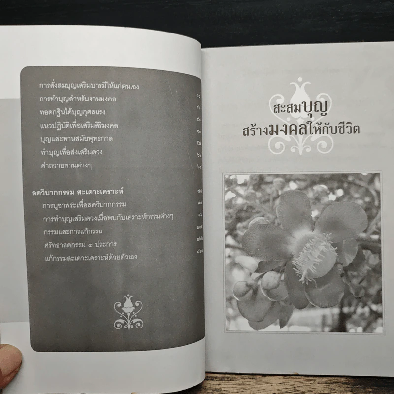 สะสมบุญ เสริมสร้างมงคล ดูดกรรม ปัดเป่าเคราะห์ - อติเทพ เทวินทร์ รูปที่ 8