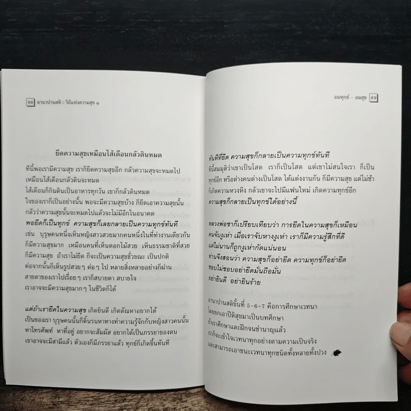 อานาปานสติ : วิถีแห่งความสุข 1 ชีวิตทั้งหมดให้อยู่ด้วยอานาปานสติ - พระอาจารย์มิตซูโอะ คเวสโก รูปที่ 9