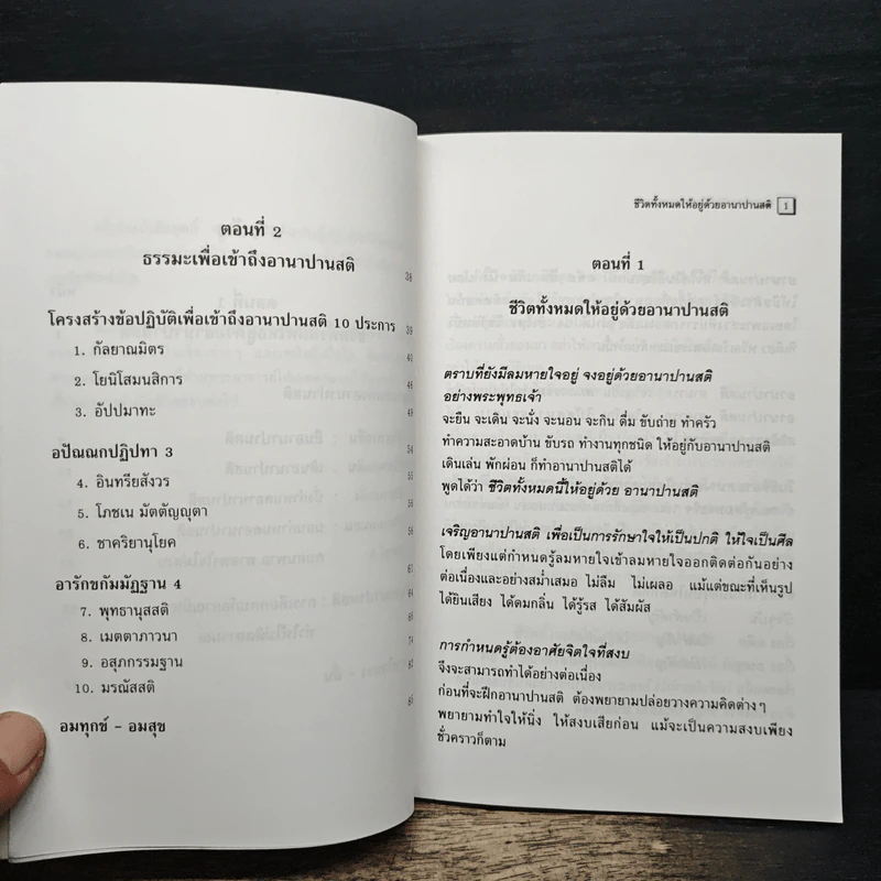 อานาปานสติ : วิถีแห่งความสุข 1 ชีวิตทั้งหมดให้อยู่ด้วยอานาปานสติ - พระอาจารย์มิตซูโอะ คเวสโก รูปที่ 8