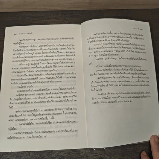 มนตราสิตางศุ์ - ณารา รูปที่ 8