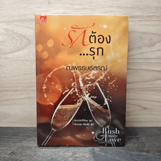 รักต้อง...รุก - ณพรรษธ์สรฌ์ รูปที่ 1