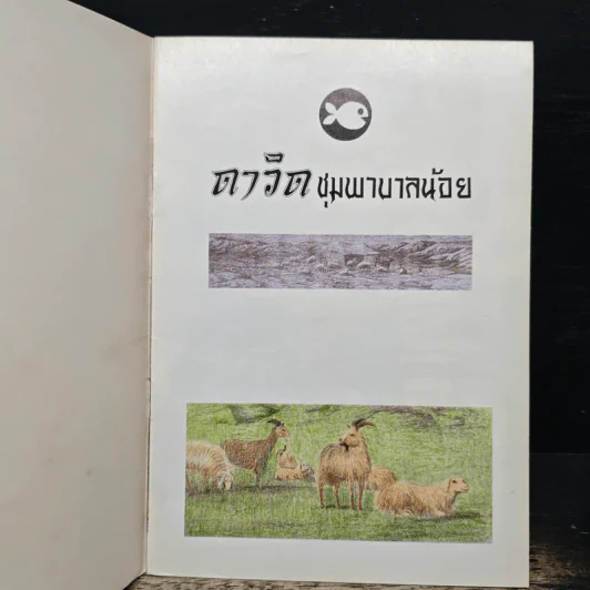 ดาวิด ชุมพาบาลน้อย รูปที่ 6