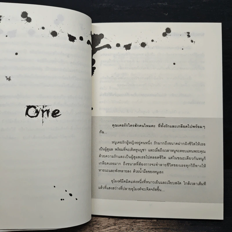 ตาม...แรงแค้นทวงชีวิต - ดอกแก้ว รูปที่ 8