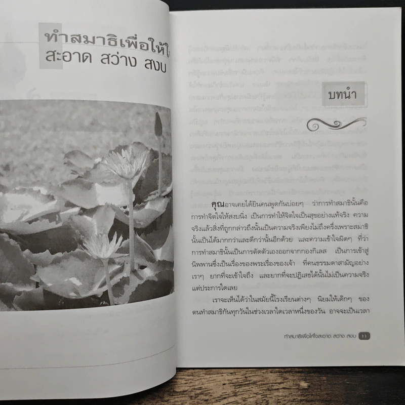 ทำสมาธิ เพื่อให้ใจสะอาด สว่าง สงบ - เรืองจรูญ รุจิกร รูปที่ 8