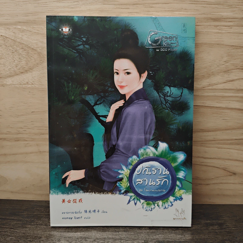 ปณิธารสานรัก ชุด โฉมงามแฝงกาย - หยางกวงฉิงจื่อ รูปที่ 1