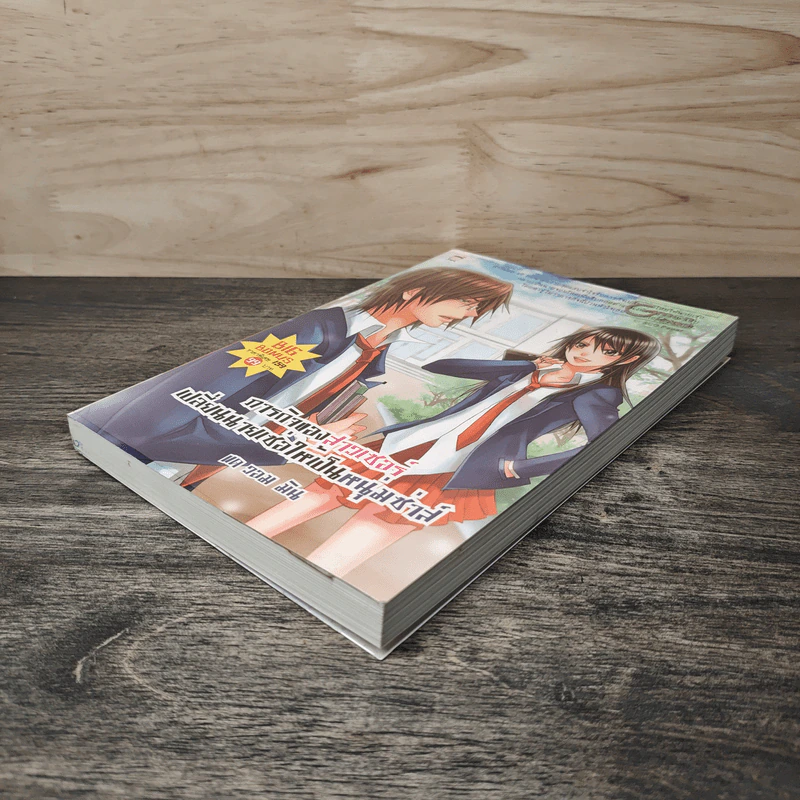 ภารกิจของสาวเซอร์เปลี่ยนนายเซ่อให้เป็นหนุ่มซ่าส์ - แด วอม มิน รูปที่ 3