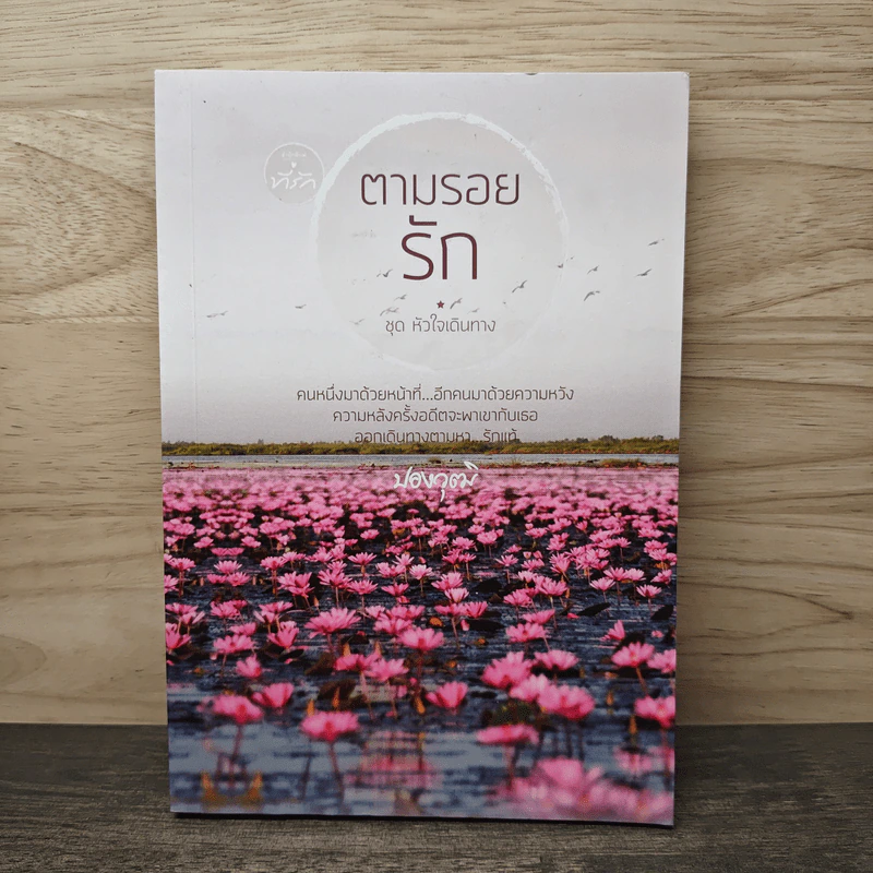 ตามรอยรัก - ปองวุฒิ รูปที่ 1