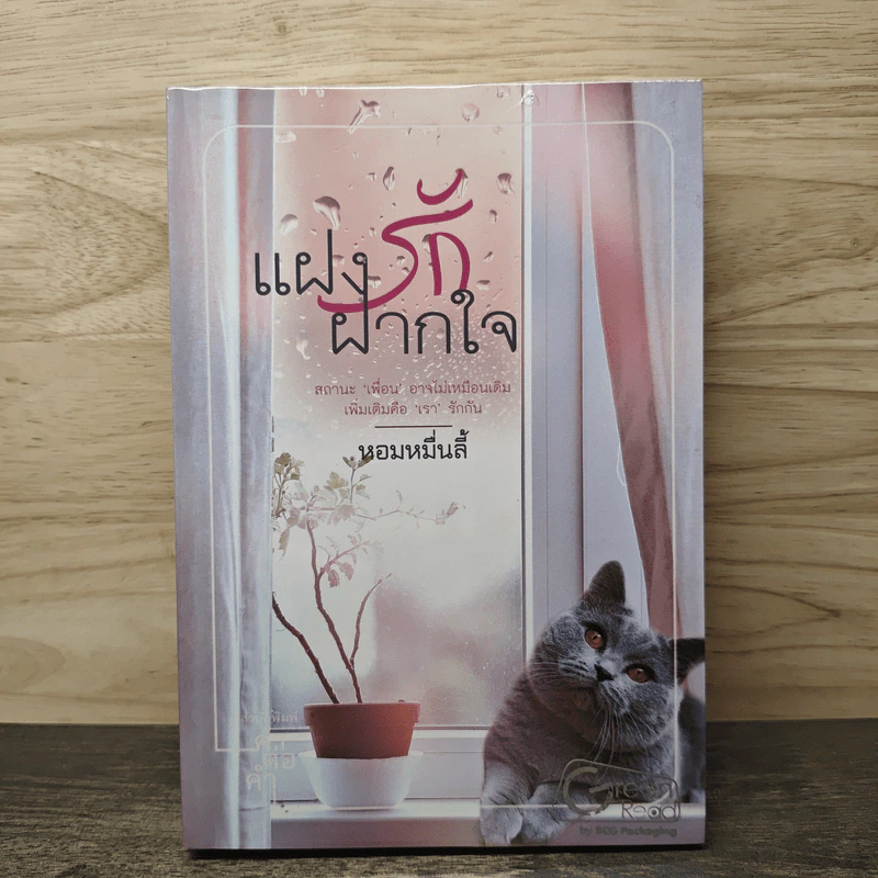 แฝงรักฝากใจ - หอมหมื่นลี้ รูปที่ 1