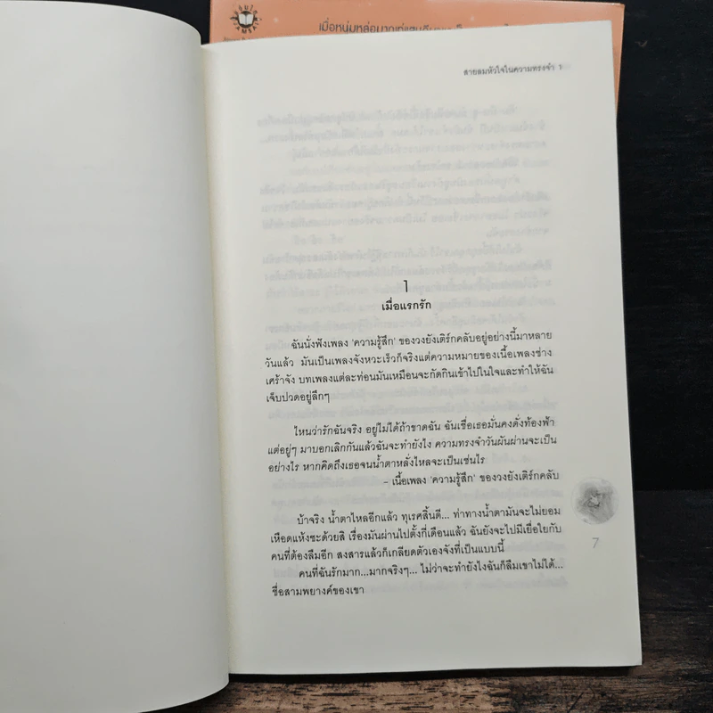 สายลมหัวใจในความทรงจำ 2 เล่มจบ - อิมอึนฮี รูปที่ 7