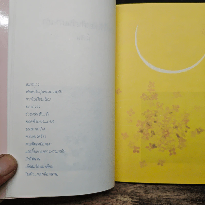 ฝากไว้เพียงฝันวันเก่า-เก่า - น้ำริน รูปที่ 8