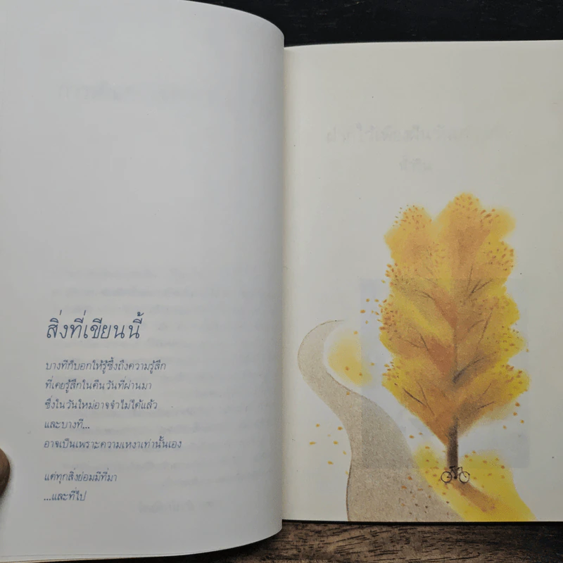 ฝากไว้เพียงฝันวันเก่า-เก่า - น้ำริน รูปที่ 7