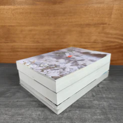 หลงฮวาดอกไม้มังกร เล่ม 1-3 - เหม่ยเหรินเจียว รูปที่ 3