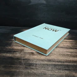The Power of Now - Eckhart Tolle รูปที่ 4