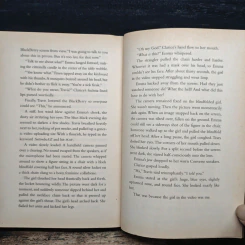 Flawless: Pretty Little Liars - Sara Shepard รูปที่ 9