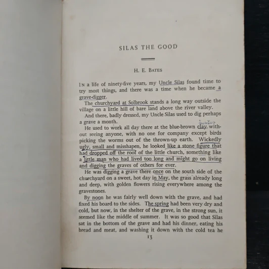 British and American Short Stories รูปที่ 9