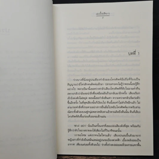 วาดหัวใจให้เป็นรัก - เมเปิ้ลสีขาว รูปที่ 7