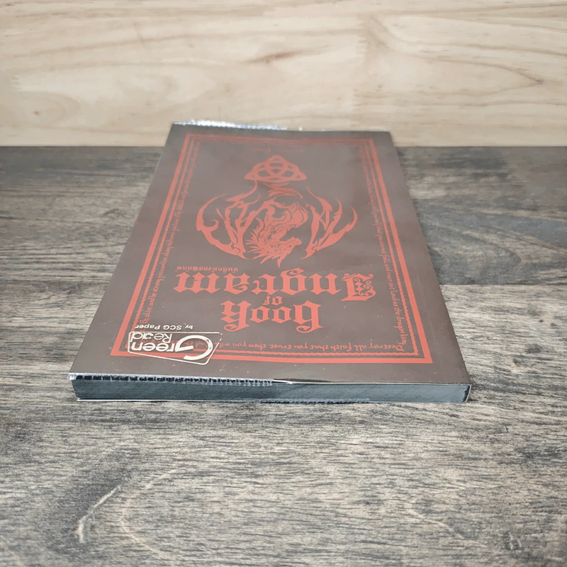Book of Ingram บันทึกมังกรพิทักษ์ - Finch รูปที่ 4