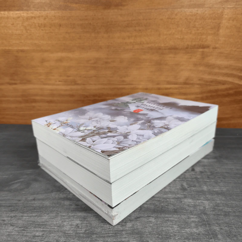 หลงฮวาดอกไม้มังกร เล่ม 1-3 - เหม่ยเหรินเจียว รูปที่ 3