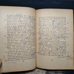Robinson Crusoe - Mary Calvert รูปที่ 10