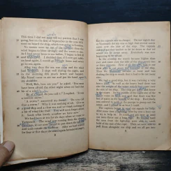 Robinson Crusoe - Mary Calvert รูปที่ 9