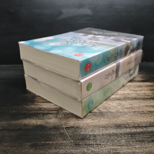 Box Set มาเฟีย เสี่ย ป๋า อุบัติสิเน่หา,อสูรเสี่ยงรัก,ม่านรักลวงใจ 3 เล่ม - ลักษณะปรีชา รูปที่ 7