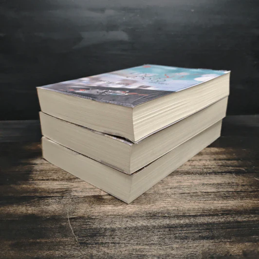 Box Set มาเฟีย เสี่ย ป๋า อุบัติสิเน่หา,อสูรเสี่ยงรัก,ม่านรักลวงใจ 3 เล่ม - ลักษณะปรีชา รูปที่ 6