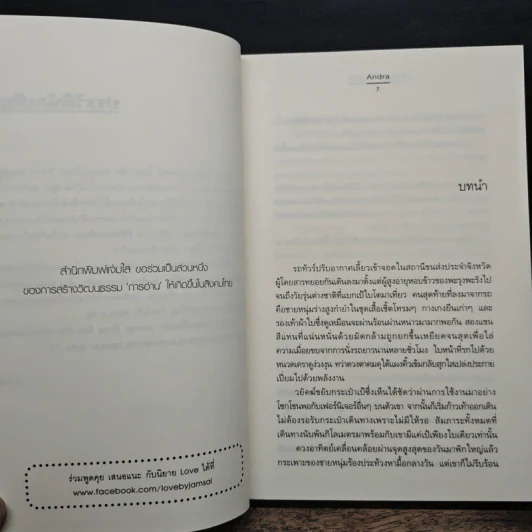 ต้องมนตร์พระพาย - Andra รูปที่ 7