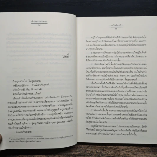 เพียงสายลมหวน - ระวิวรินทร์ รูปที่ 8