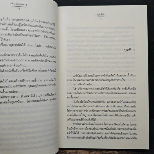 เพียงภาพลวง - ปิ่นไม้ รูปที่ 8