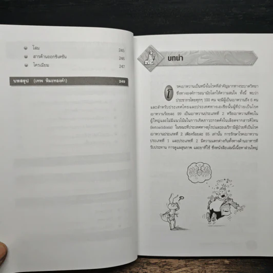 ความรู้เรื่องเบาหวาน ฉบับสมบูรณ์ - ศาสตราจารย์ นพ.เทพ หิมะทองคำ รูปที่ 11