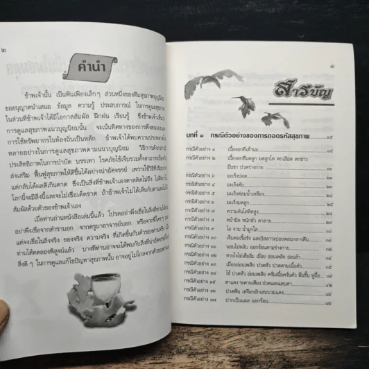 ถอดรหัสสุขภาพ ร้อน-เย็น ไม่สมดุล - ใจเพชร มีทรัพย์ (หมอเขียว) รูปที่ 7