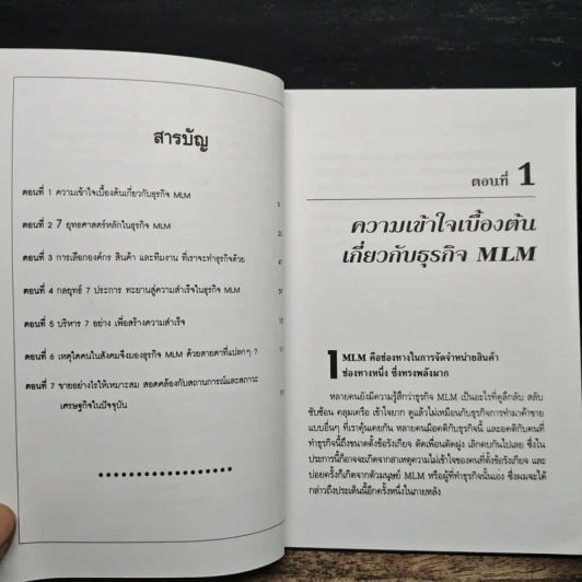 กะเทาะเปลือกมนุษย์ MLM - วสันต์ พงศ์สุประดิษฐ์ รูปที่ 7