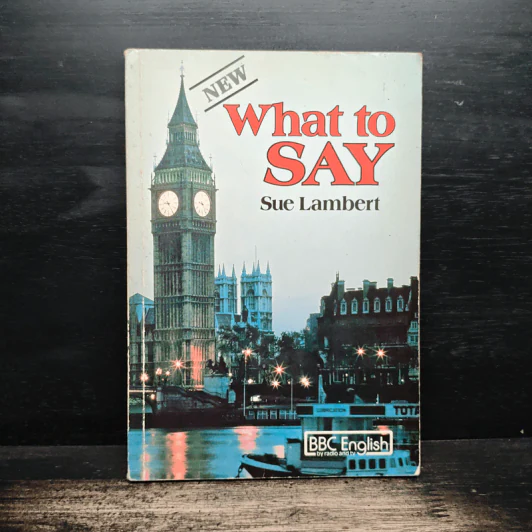 What to SAY - Sue Lambert รูปที่ 1