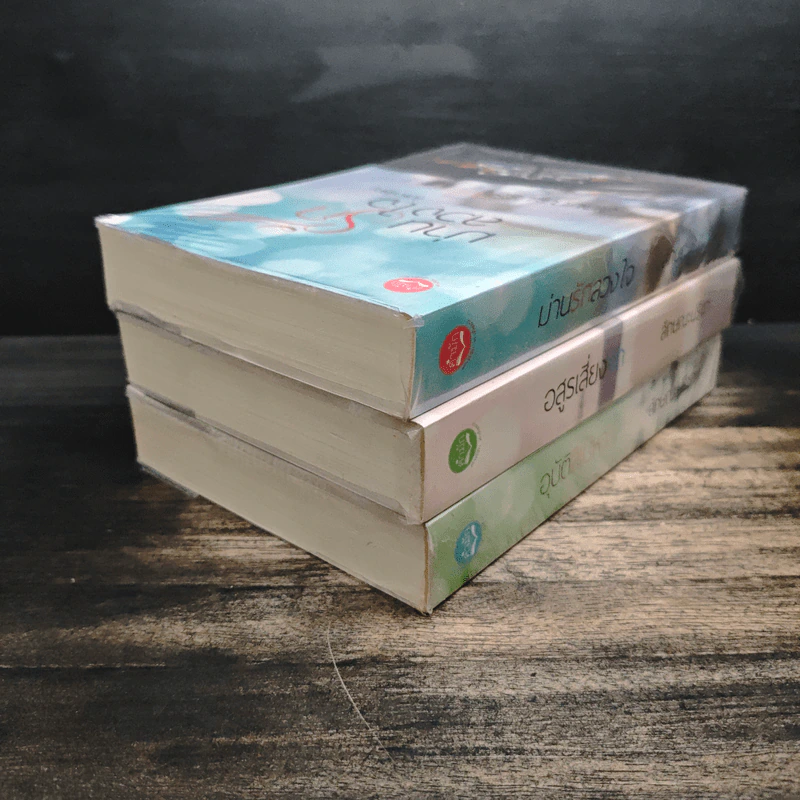 Box Set มาเฟีย เสี่ย ป๋า อุบัติสิเน่หา,อสูรเสี่ยงรัก,ม่านรักลวงใจ 3 เล่ม - ลักษณะปรีชา รูปที่ 7