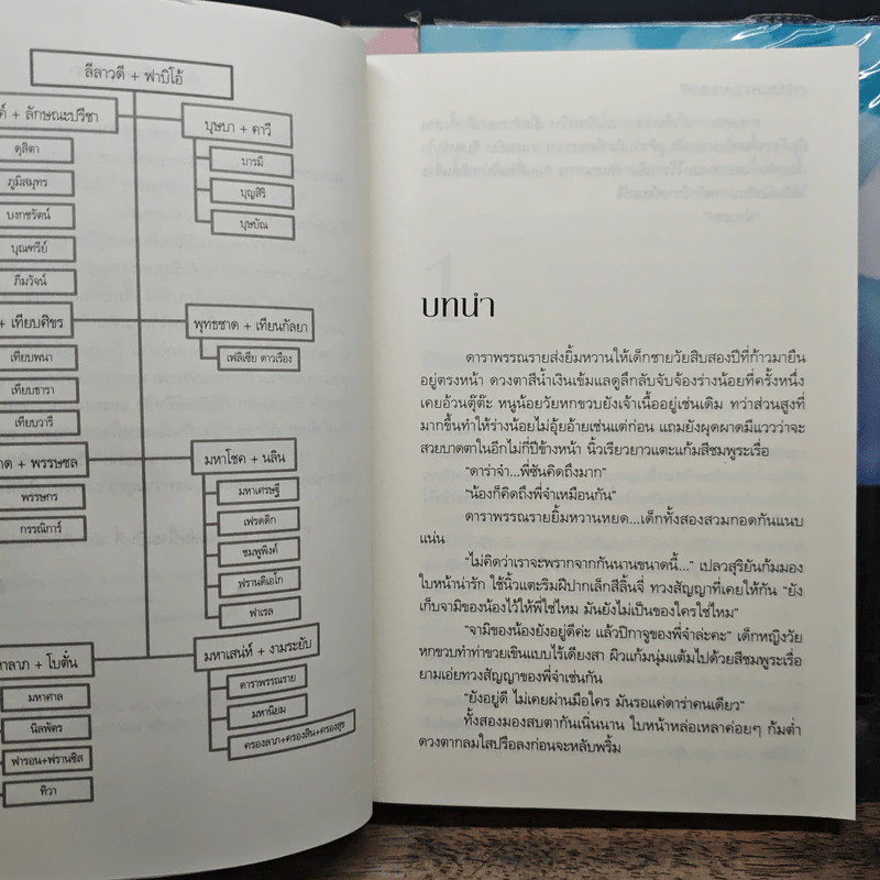 Box Set มาเฟีย เสี่ย ป๋า อุบัติสิเน่หา,อสูรเสี่ยงรัก,ม่านรักลวงใจ 3 เล่ม - ลักษณะปรีชา รูปที่ 9