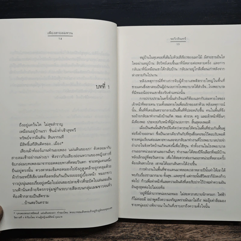 เพียงสายลมหวน - ระวิวรินทร์ รูปที่ 8
