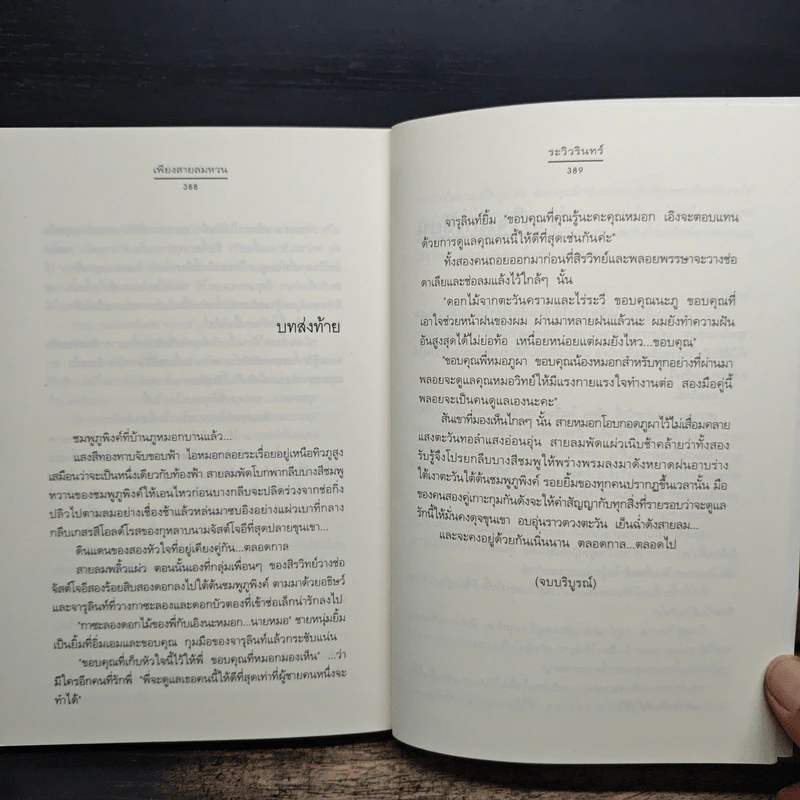 เพียงสายลมหวน - ระวิวรินทร์ รูปที่ 9