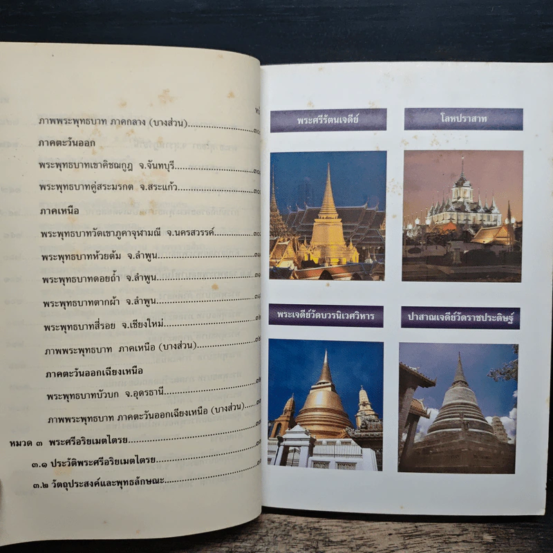 พระธาตุเจดีย์และรอยพระพุทธบาท อันศักดิ์สิทธิ์ในประเทศไทย รูปที่ 9