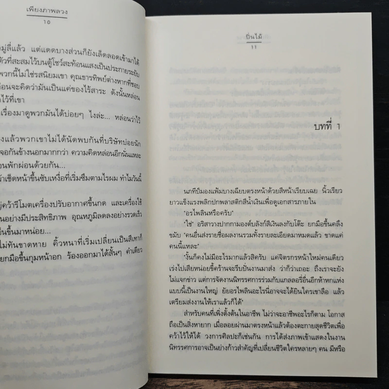 เพียงภาพลวง - ปิ่นไม้ รูปที่ 8