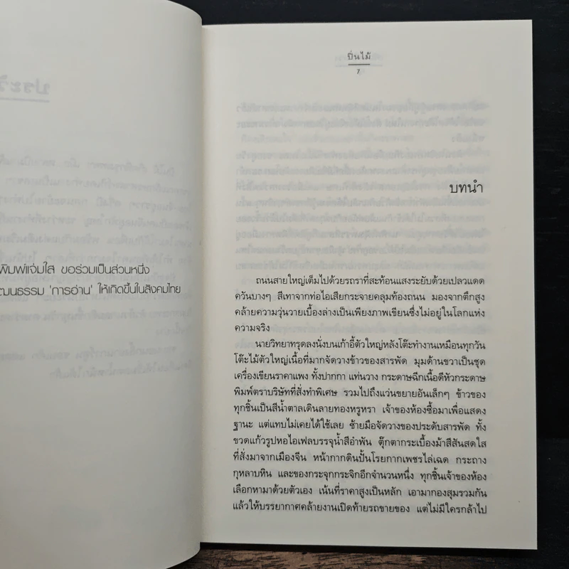 เพียงภาพลวง - ปิ่นไม้ รูปที่ 7