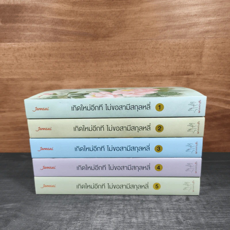 เกิดใหม่อีกที ไม่ขอสามีสกุลหลี่ 5 เล่มจบ - ฉางโกวลั่วเยวี่ย รูปที่ 3