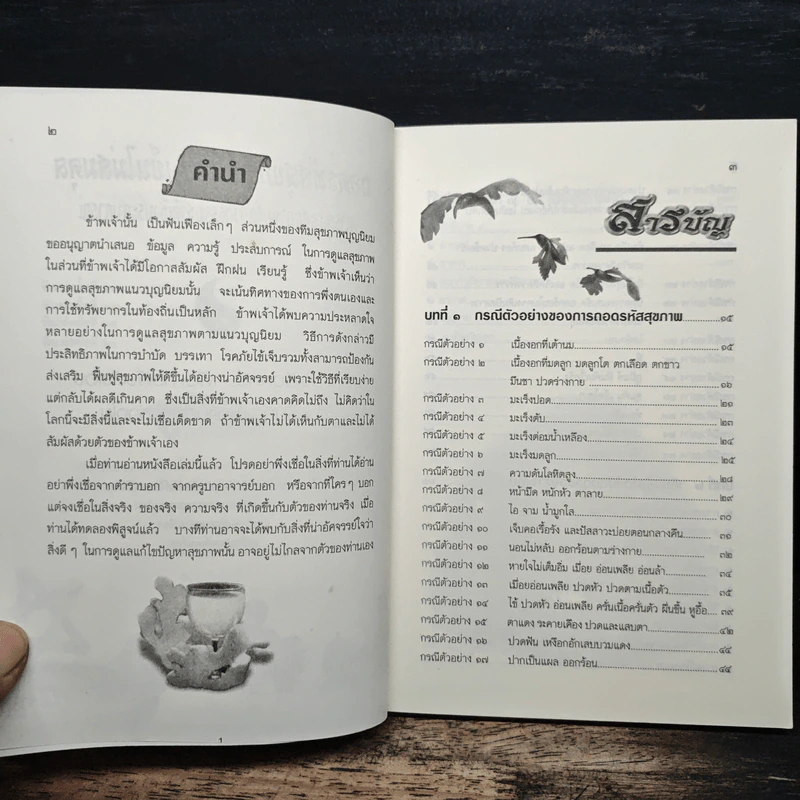 ถอดรหัสสุขภาพ เล่ม 1 ร้อน-เย็น ไม่สมดุล - ใจเพชร มีทรัพย์ (หมอเขียว) รูปที่ 6