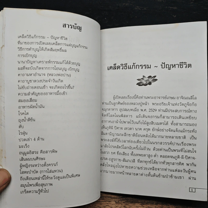 เคล็ดวิธี แก้กรรม-ปัญหาชีวิต กินอย่างไร-ไร้โรคภัย รูปที่ 9