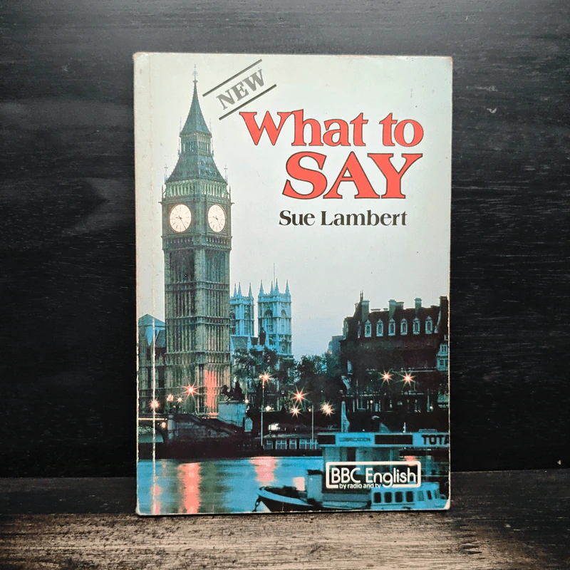 What to SAY - Sue Lambert รูปที่ 1