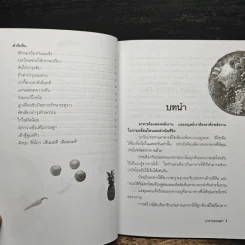 อาหารแทนยา - ดร.วัลภา เพ็ญแสงงาม รูปที่ 8