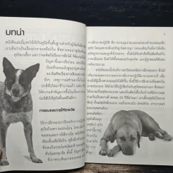 Dog Training Handbook คู่มือฝึกสุนัข: เห็นผลใน 10 สัปดาห์ - สเตลลา สมิธ รูปที่ 7