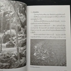 วิถีแห่งน้ำ ธารชีวิตแห่งโลก - นัยนา นิยมวัน รูปที่ 9