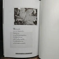 กำลังใจ...เริ่มต้นใหม่ - ทะเลหญ้า รูปที่ 9