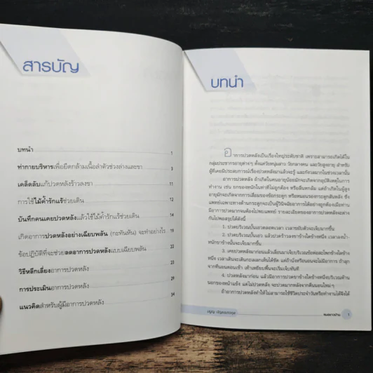 การป้องกันและแก้อาการปวดหลัง - มนูญ บัญชรเทวกุล รูปที่ 7
